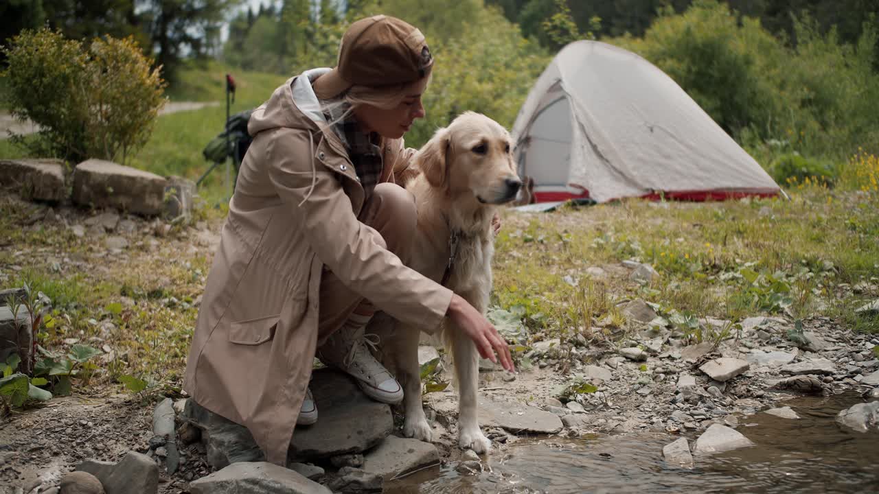 una chica rubia con ropa de senderismo se para con su perro de color claro cerca de un río de montaña y lava a su perro con el telón de fondo de una tienda de campaña y un bosque verde. caminando con sus mascotas