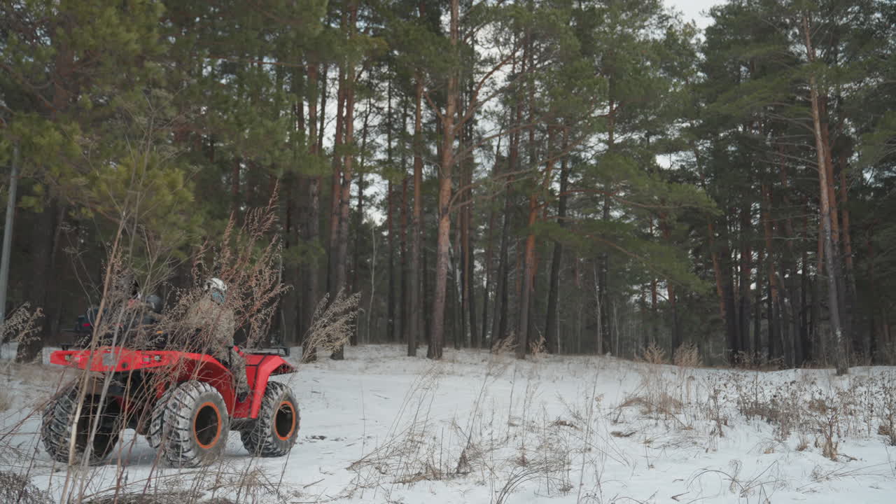 ATV rosso in una pineta innevata, pilota solitario naviga in una tranquilla radura coperta di neve con erba secca e pini alti, tracce di pneumatici visibili nella neve fresca, esplorazione lenta, respiro freddo e leggera nevicata creano.