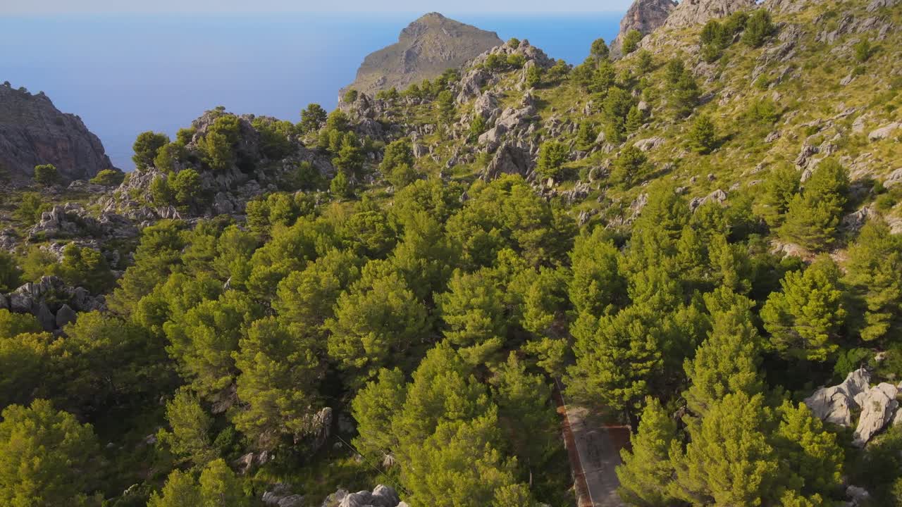 Volando sopra alberi verdi in un canyon con il Mar Mediterraneo sullo sfondo in una giornata di sole a Sa Calobra, Maiorca, Spagna.