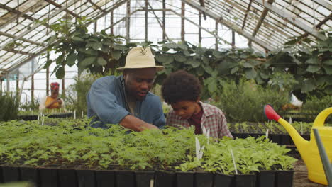 african american man and kid working in greenhouse farm