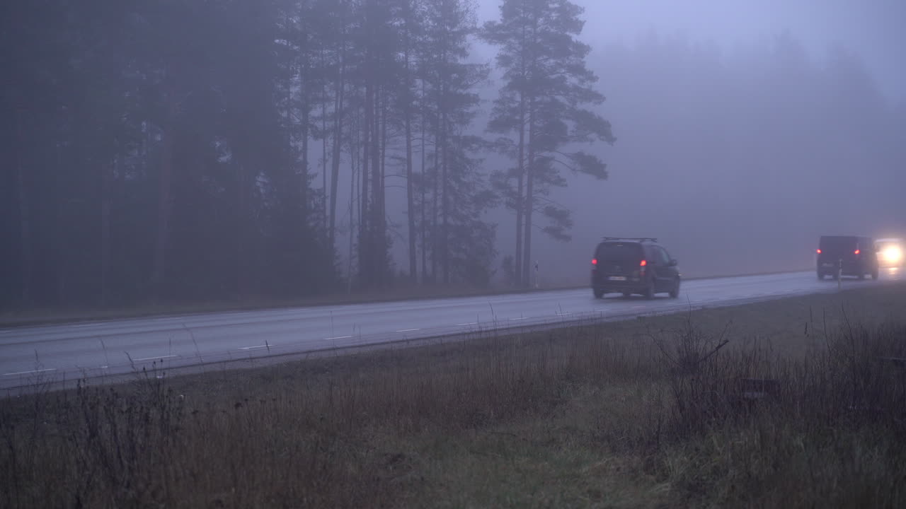 Morning traffic on foggy road. Forest in In the background.