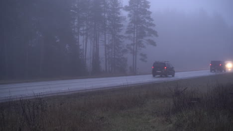 morning traffic on foggy road. forest in in the background.