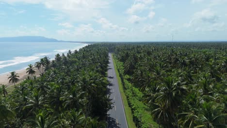 panoramic coastal road between palms along ocean near nagua, maria trinidad sanchez in dominican republic. aerial forward