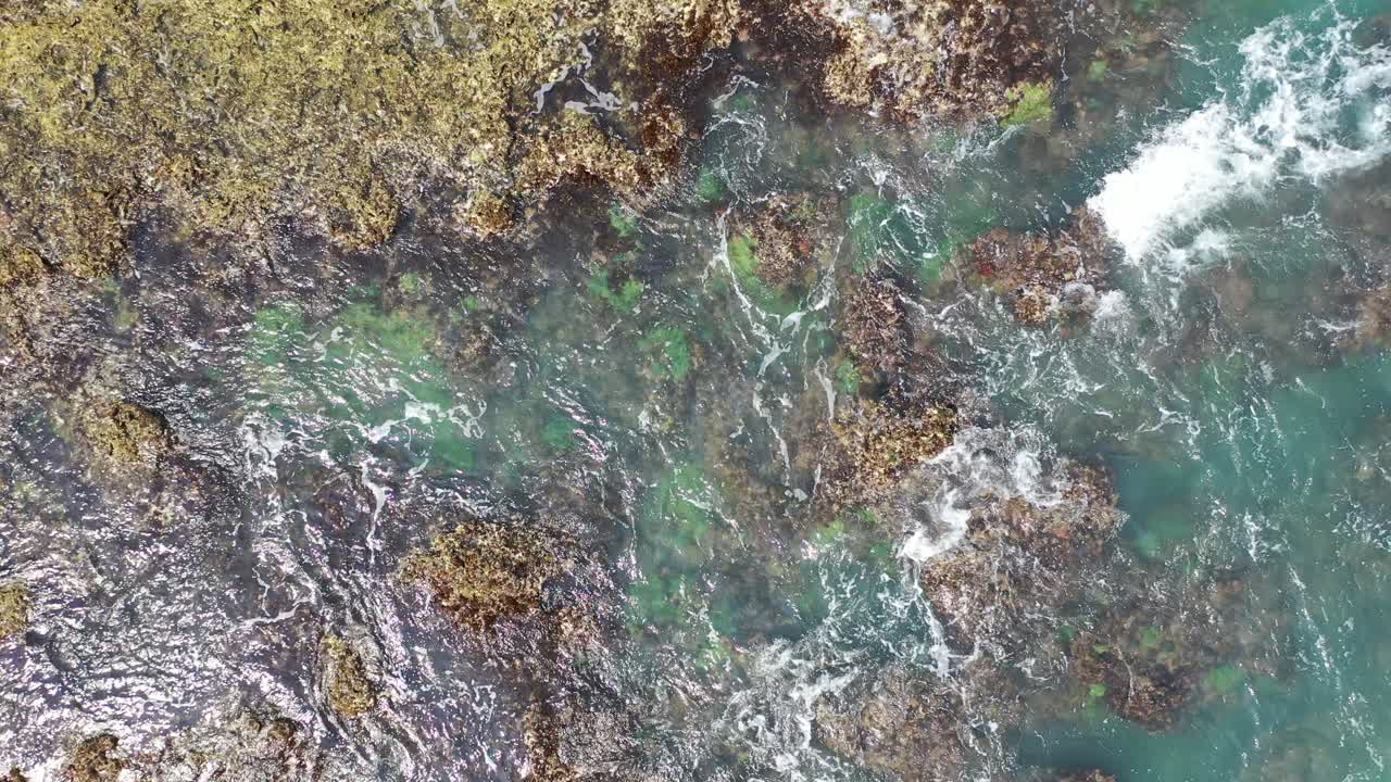 Coastal Waves Crashing on Rocks