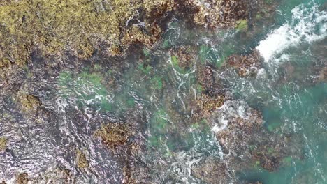las olas costeras chocando contra las rocas