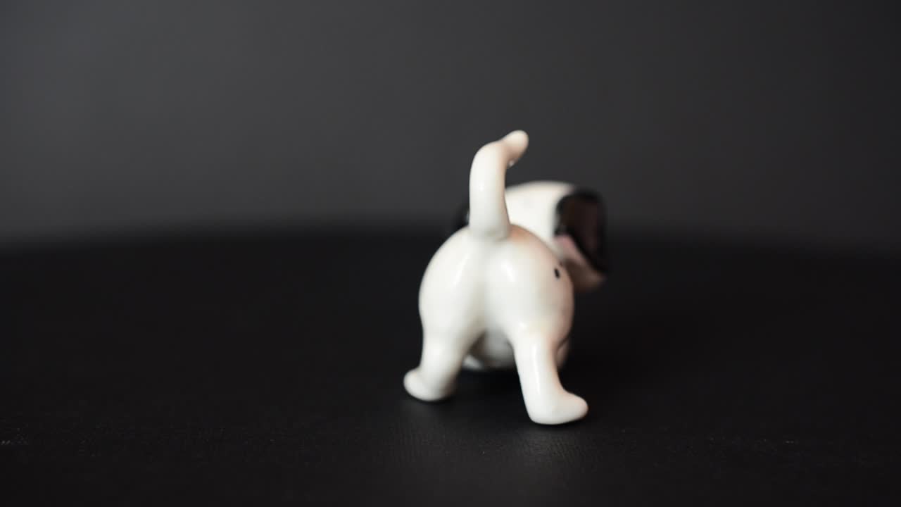 Shooting of a dog of a dalmatian. Shooting of a figurine