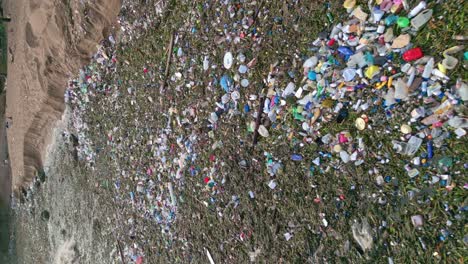 Vertical-drone-shot-showing-tons-of-pollution-swimming-in-Caribbean-Sea---environmental-catastrophe-with-waste-and-plastic