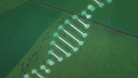 animación de la cadena de adn sobre el paisaje