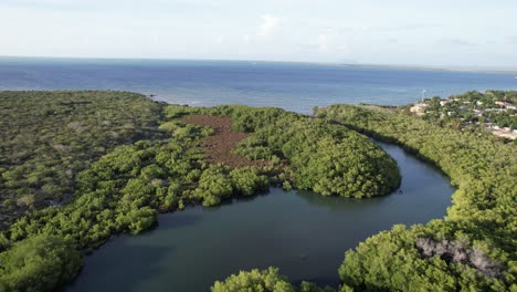 una vista impresionante y reconfortante de la masacre de río en la república dominicana - avión no tripulado volando hacia adelante