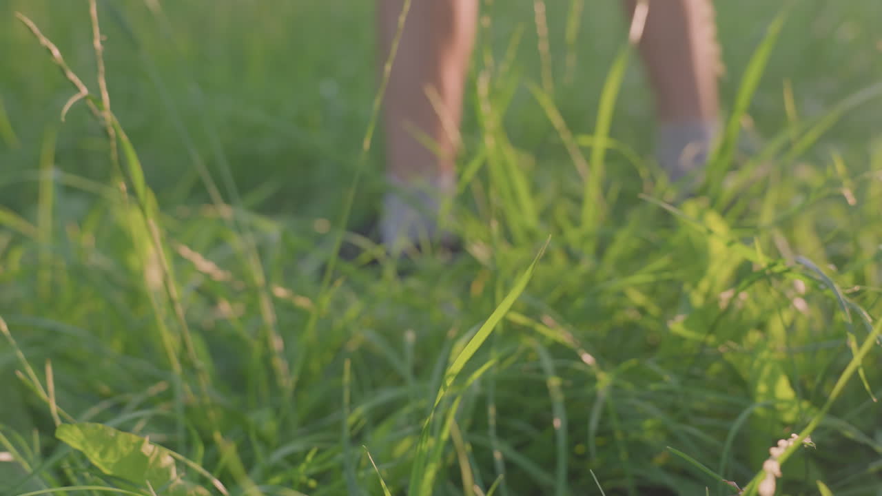 Fell Among Summer Blades Unexpectedly, Sudden Stumble Amidst Tall Summer Grass Under Evening Light, Quick Reaction To Maintain Balance While Walking Through Lush Summer Grass Landscapes