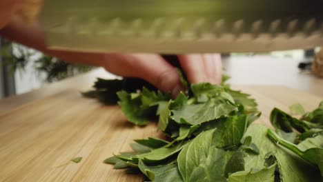 zoom out macro video of hand cutting lettuce