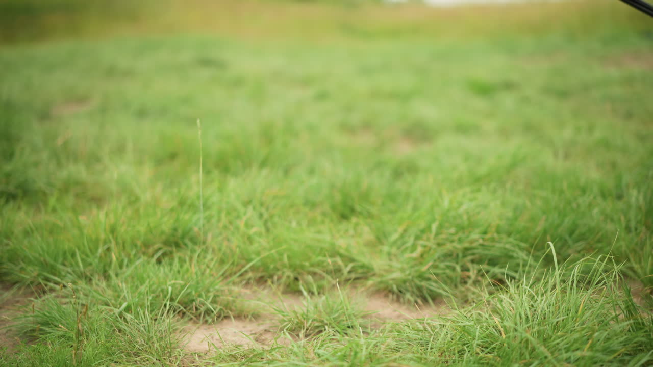 Close-up view of a black tripod chair legs firmly placed on vibrant green grass, depicting simplicity and outdoor relaxation