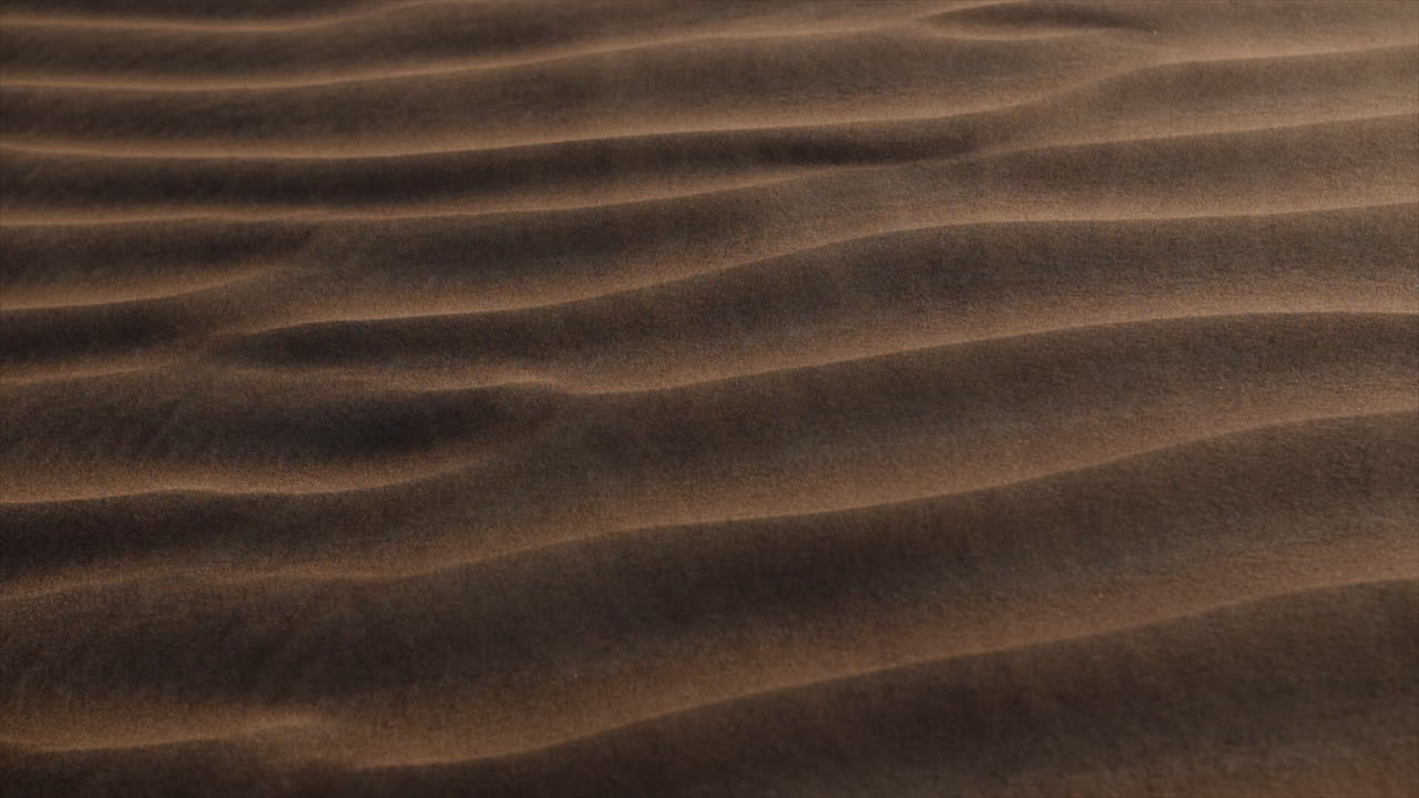 사막 을 가로지르는 느린 움직임 의 모래