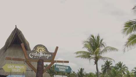 medium shot of costa maya sign beneath an overcast sky. palm trees swaying in the breeze and shore excursion tour signs for cruise ship passengers.