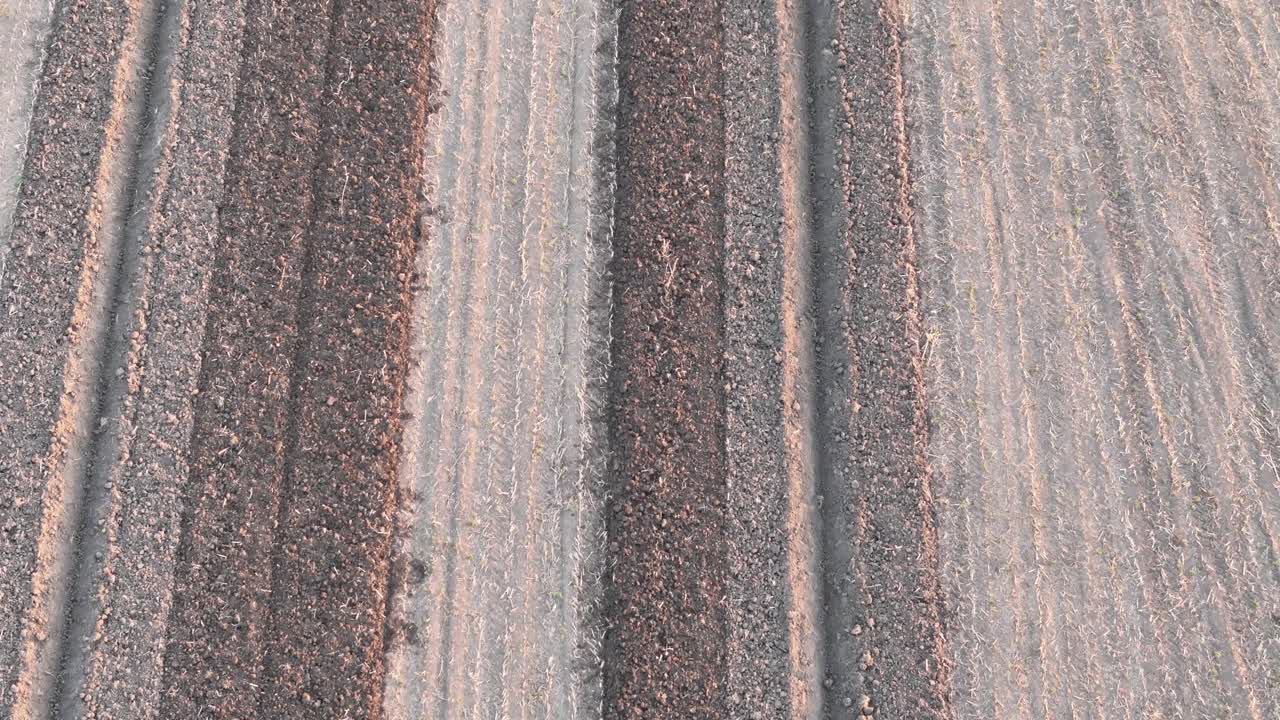 Parallel furrows mark a freshly plowed field typical of Po Valley agriculture, near the comune of San Pietro in Cerro, Piacenza, Emilia-Romagna, Italy; rich soil texture and linear field structure