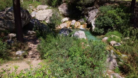 Luftaufnahme-Auf-Niedrigem-Niveau-Und-Enthüllt-Einen-Hochgebirgsbach-Und-Fluss-Innerhalb-Des-Waldes