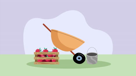 wheelbarrow with tomatoes basket animation