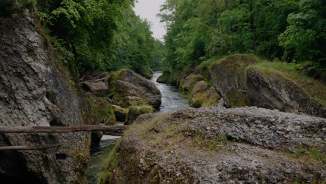 canyon in austria with big boulders next to the creek with trees to the left and right