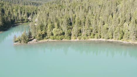 Hermosa-Toma-Aérea-De-Una-Costa-Junto-A-Los-Grandes-Bosques-De-Pinos-En-Alaska