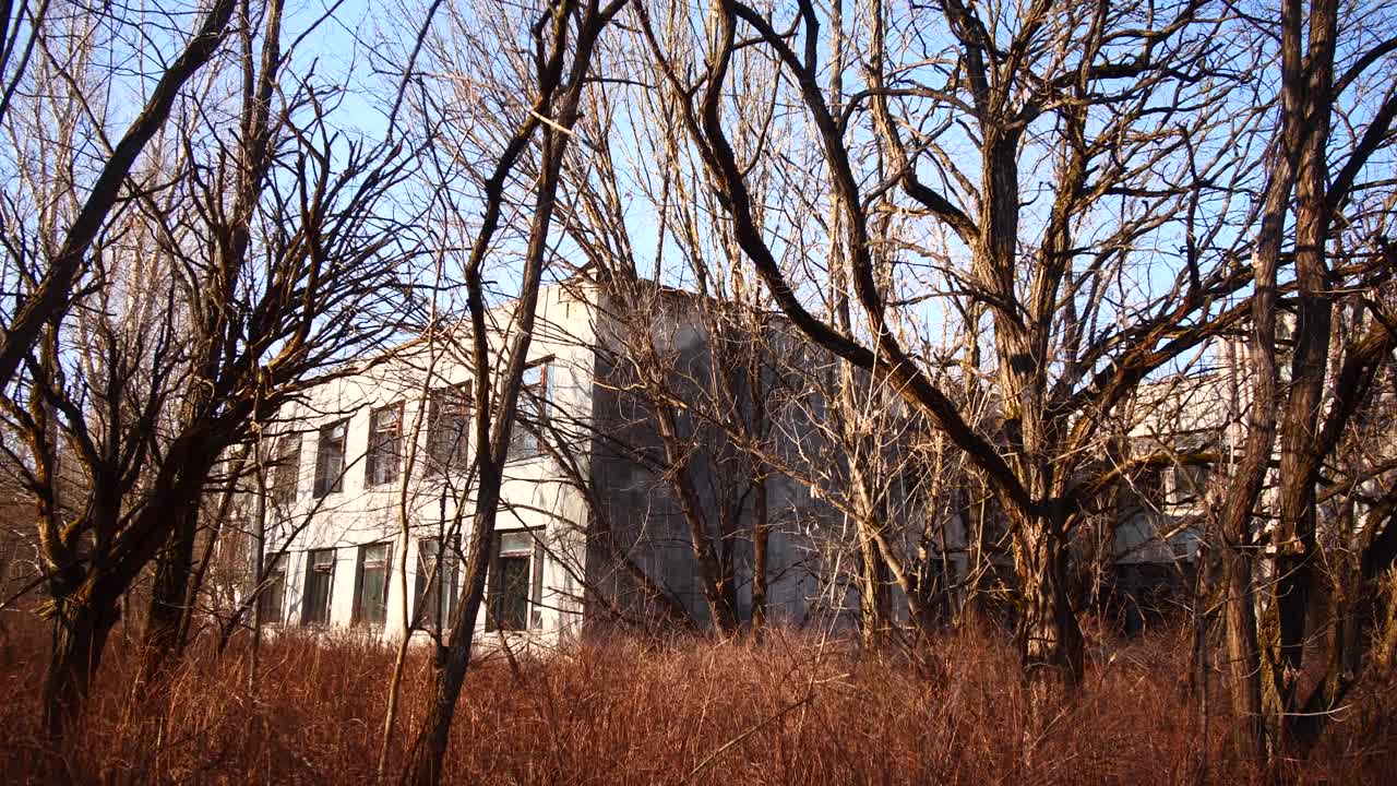 자연으로 뒤인 버려진 건물