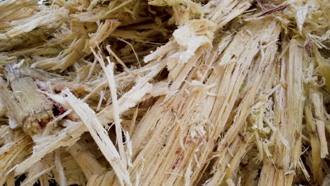 sugarcane bagasse used to make sugar cane juice