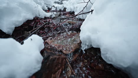 small stream flowing through snow-covered ground in a peaceful winter forest