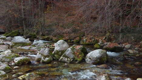 River-in-mountain-forest-with-red-and-yellow-trees-autumn-foliage