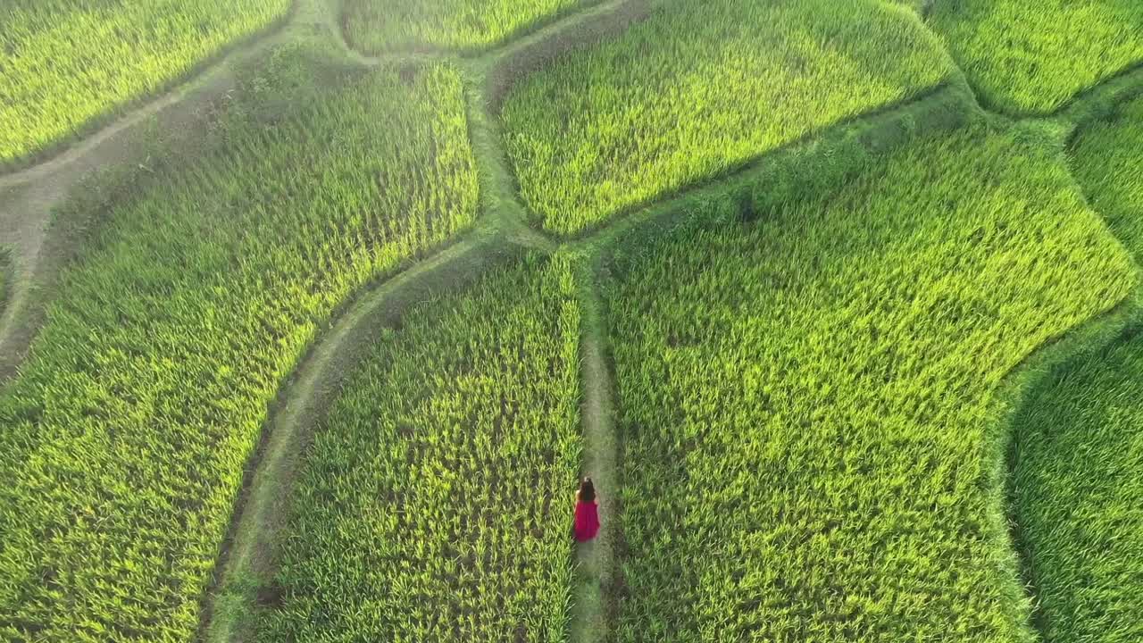una mujer con un vestido rojo caminando en una terraza de arroz en bali, indonesia