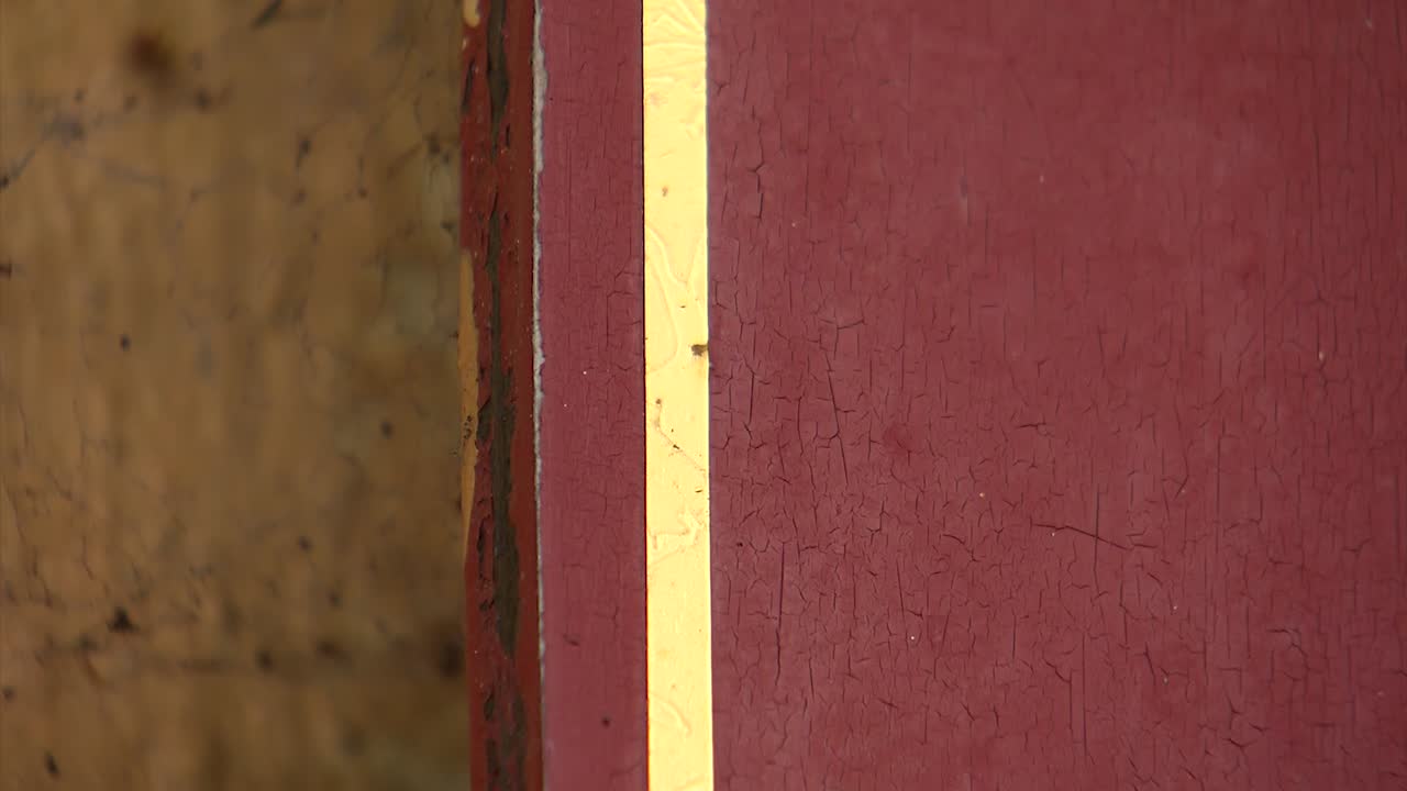 araña arrastrándose dentro y fuera del marco