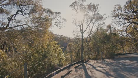 looking at the sun in the carpark of jellybean pool national park western sydney australia