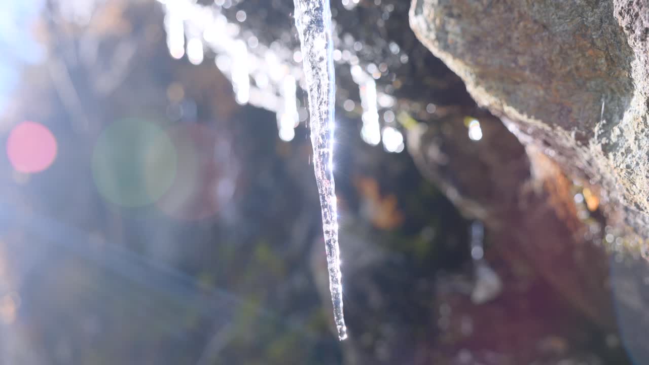A close-up shot shows a melting icicle hanging from a rock formation illuminated by bright sunlight
