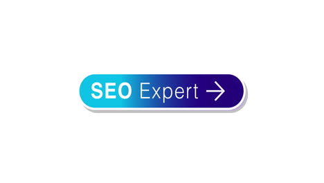 search bar and magnifying glass icon