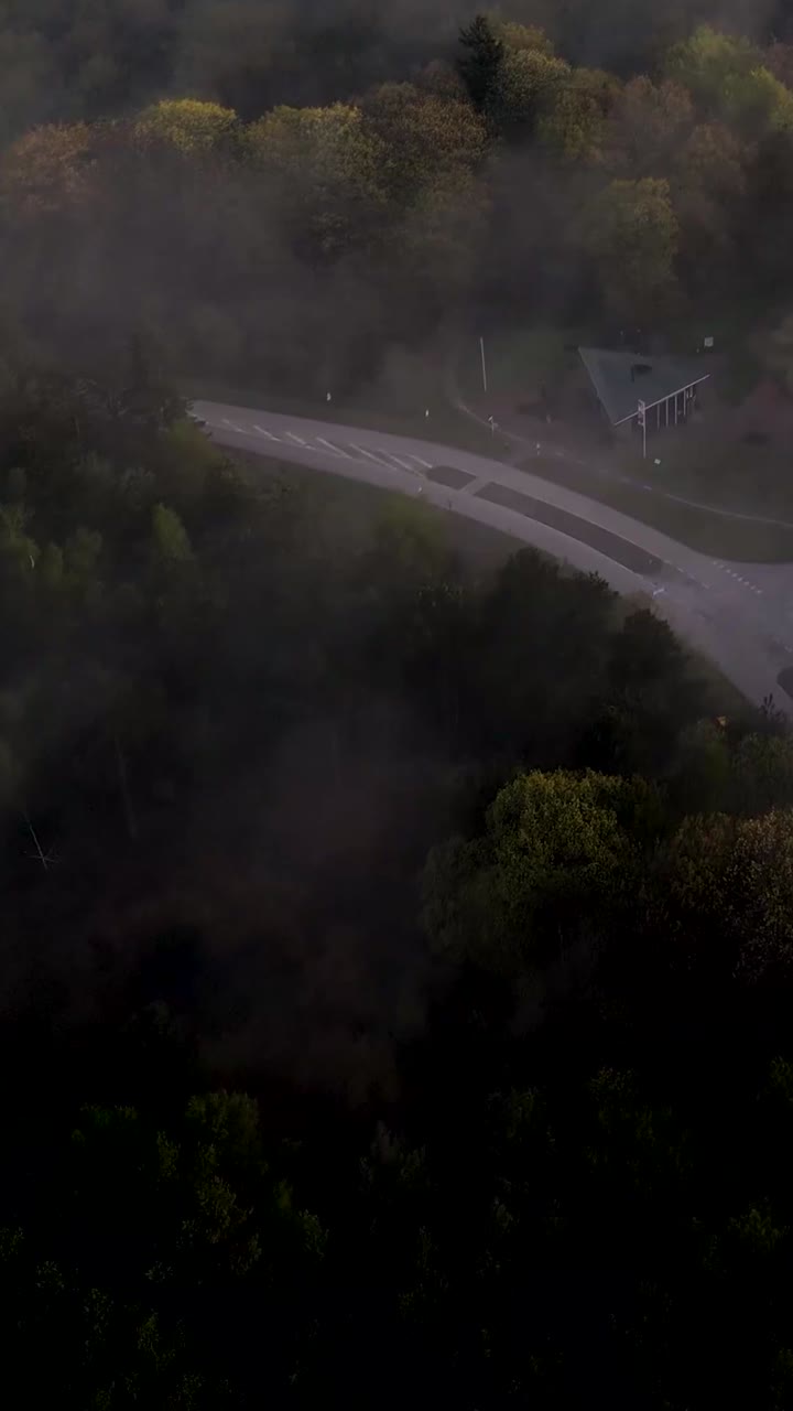 안개 숲 도로와 공원