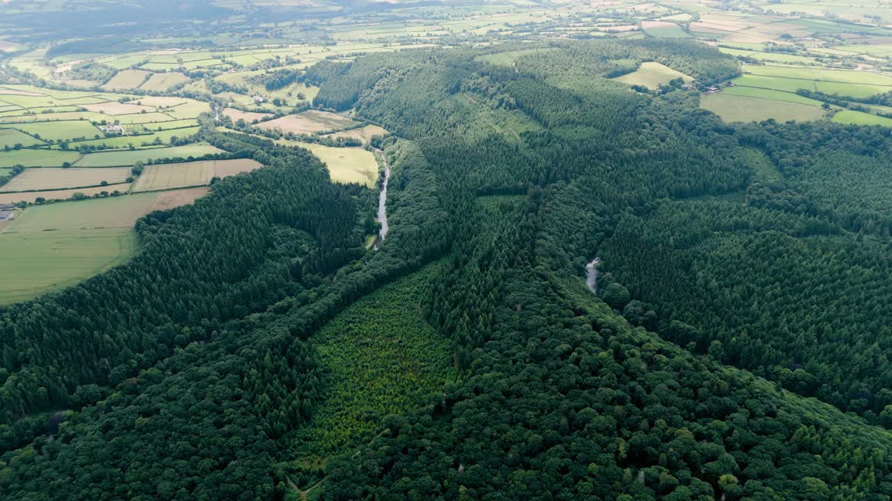 vista aérea del río tamar que serpentea a través del denso bosque en el pintoresco campo de devon y cornualles