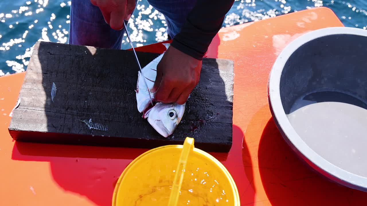 Hands scale a fish on a boat in Phuket, Thailand. Bright daylight, vibrant colors, and ocean backdrop create a lively atmosphere