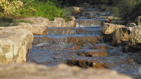 a clear, flowing stream surrounded by rocks and green plants