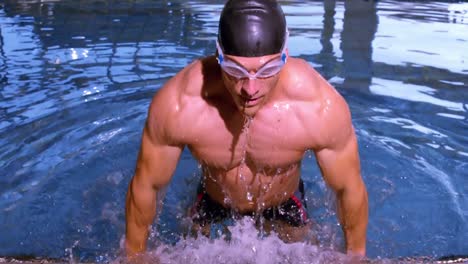 muskulöser schwimmer, der aus dem pool auftaucht und sich nach oben zieht