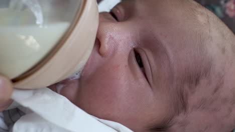 macro close up of newborn baby boy drinking breast milk from bottle