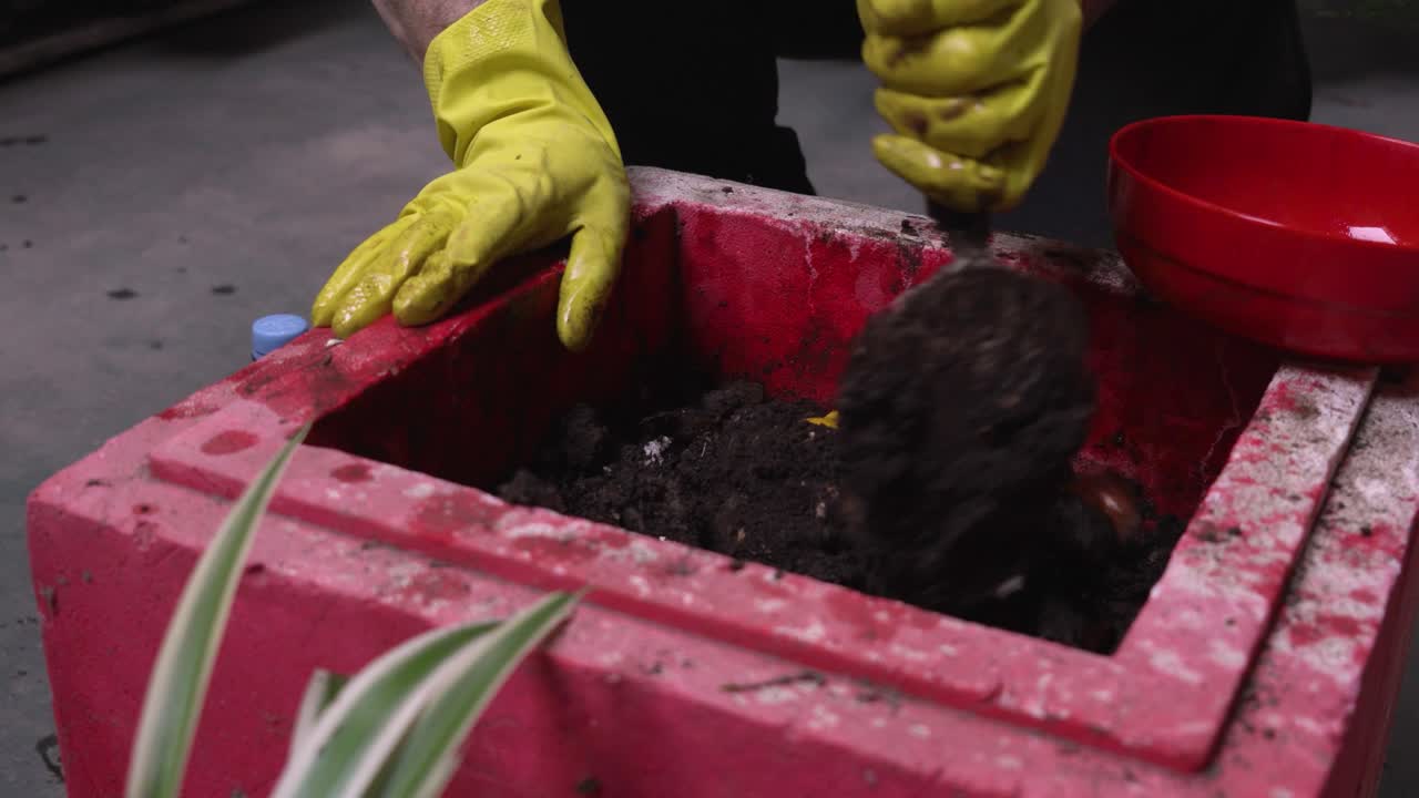 un jardinero urbano con las manos con guantes procesando restos de cocina orgánicos en compost