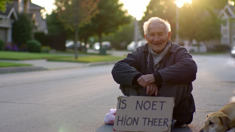 an elderly man sits on the sidewalk, smiling gently as he holds a sign. a dog rests beside him. the warm evening sun casts a golden light on the peaceful neighborhood setting.