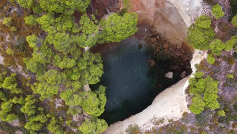 cueva del mar desde arriba con árboles