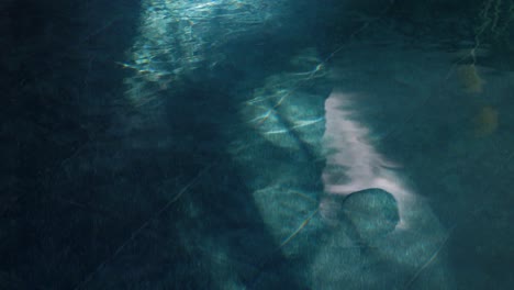 static shot of a window shadow covering the pool surface at a house