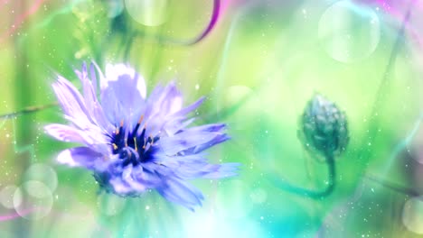 un bucle de fondo floral brillante