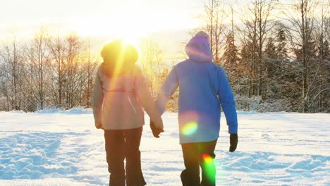 una pareja de manos en la mano y caminando en un bosque nevado.