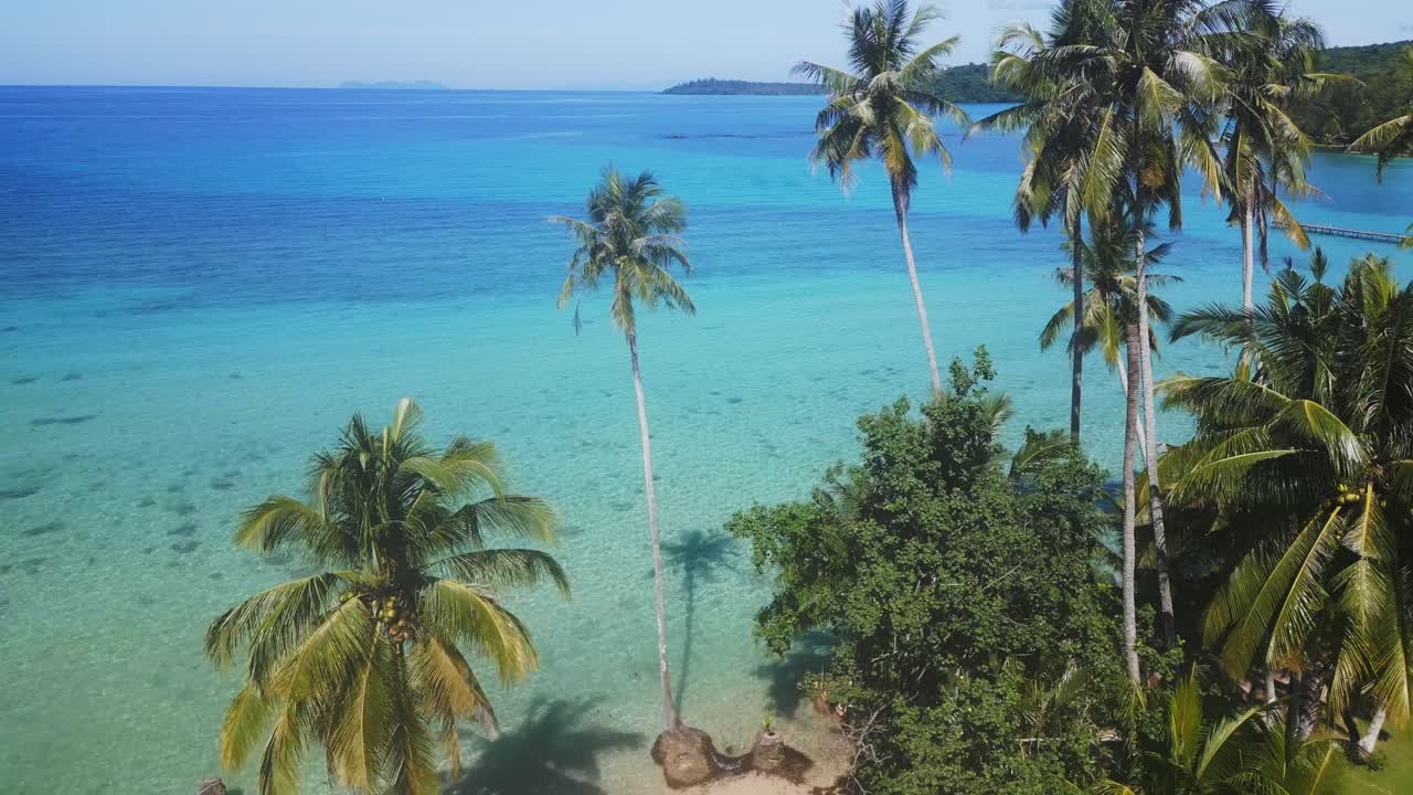 Pohon kelapa di pantai, air jernih biru toska.
