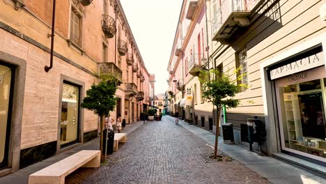 cobblestone street with shops and trees