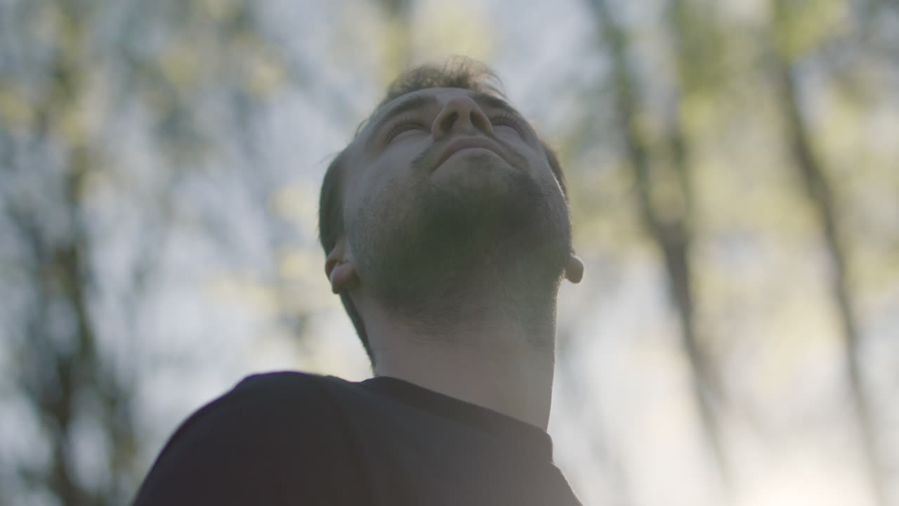 A man looking up at trees in nature