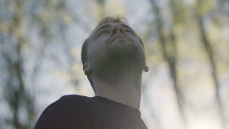 A man looking up at trees in nature