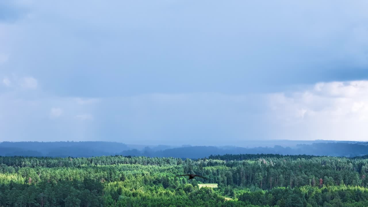 Powerful storm clouds with sunshine flowing above woodland, aerial time lapse view