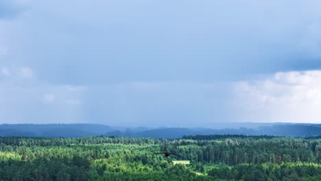 powerful storm clouds with sunshine flowing above woodland, aerial time lapse view